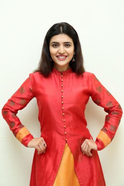 Actress Chitra Shukla Beautiful Photo Shoot In Red Dress 27